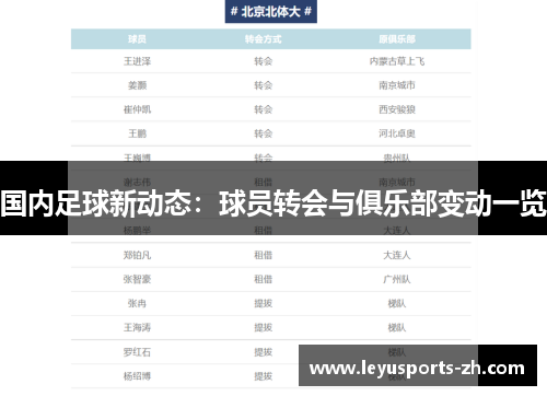 国内足球新动态：球员转会与俱乐部变动一览